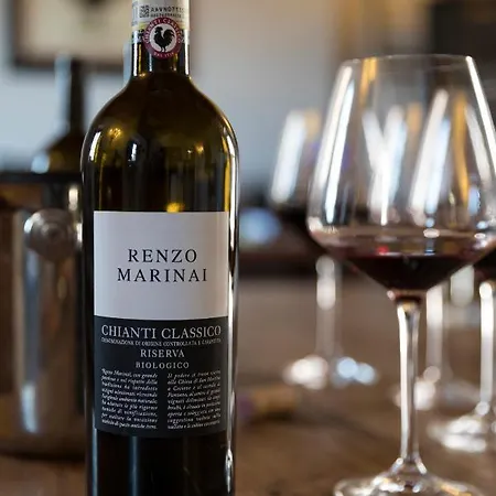 Apartment Renzo Marinai Panzano in Chianti