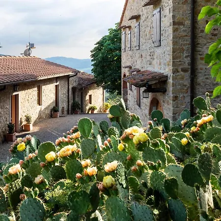 Renzo Marinai Apartment Panzano in Chianti